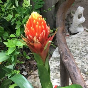 Meet your Posher, Sheri